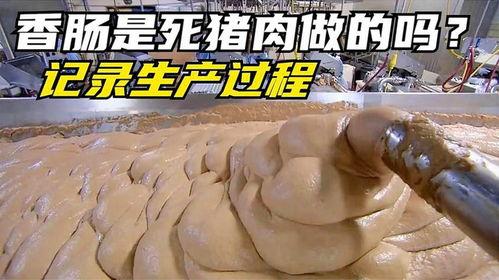 火腿制作过程爆料视频大全,视频大全带你走进美味诞生之旅  第3张